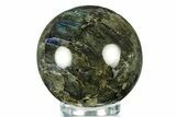 Flashy, Polished Labradorite Sphere - Great Color Play #266227-1